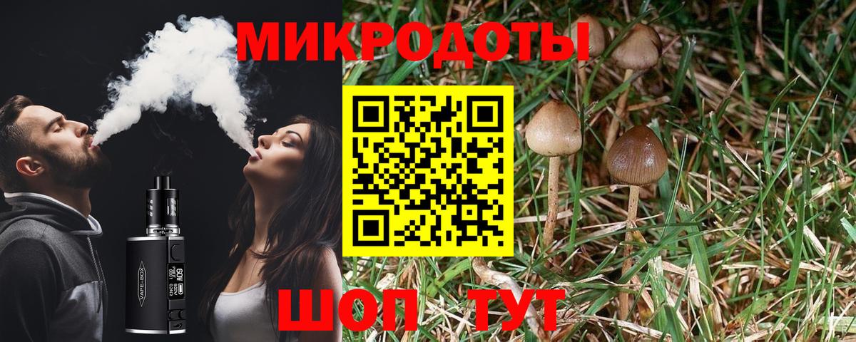 Псилоцибиновые грибы мухоморы  Вход с VPN  Ахтубинск  где продают наркотики  Псилоцибиновые грибы GOLDEN TEACHER 